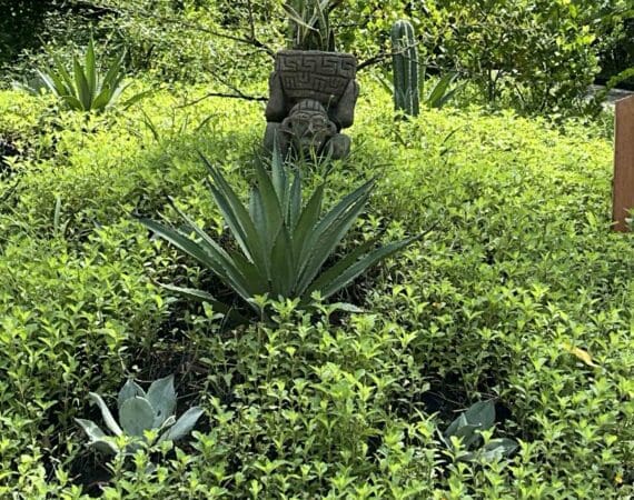 4C9243BA-2687-412F-9F1D-9716D4FB69FE(1)