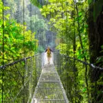Hiking,In,Green,Tropical,Jungle,,Costa,Rica,,Central,America